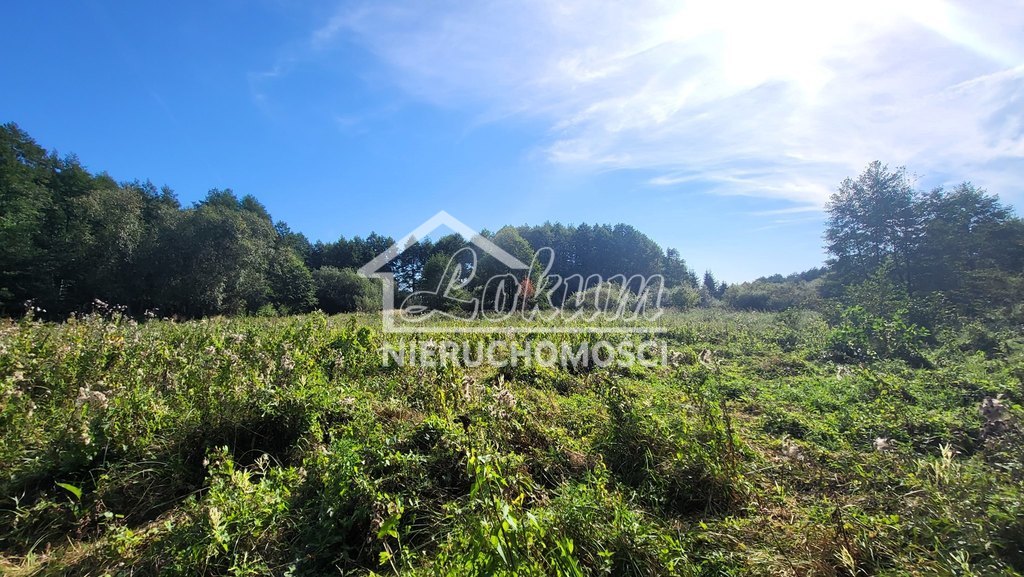 Działka rolna 4,05&nbsp;ha, Staw - zdjęcie 7