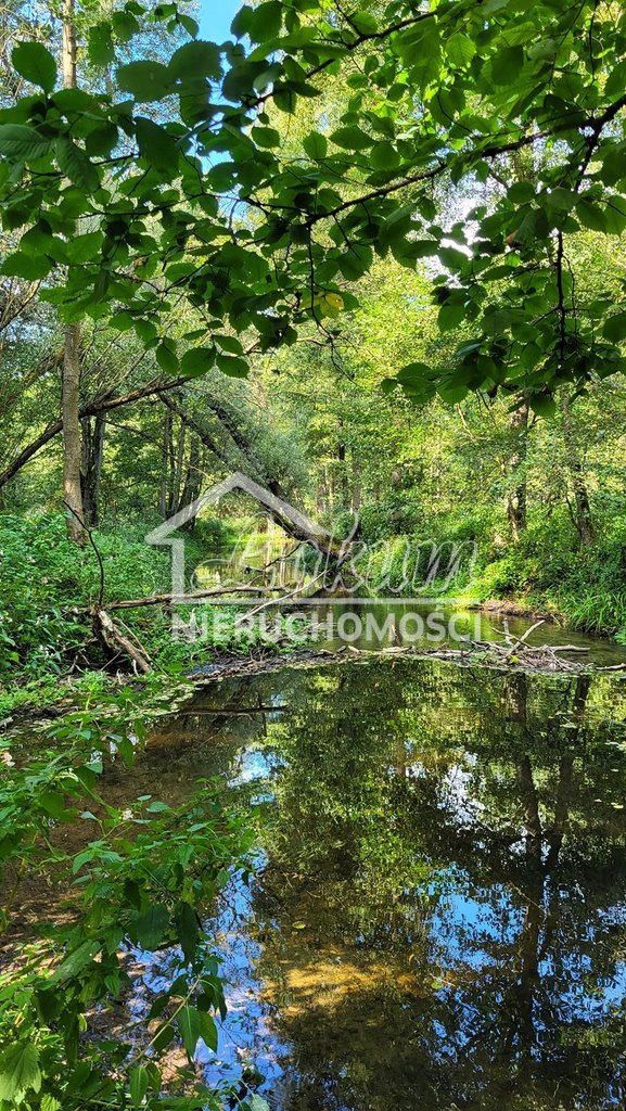 Działka rolna 4,05&nbsp;ha, Staw - zdjęcie 2