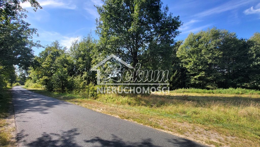 Działka rolna 4,05&nbsp;ha, Staw - zdjęcie 14