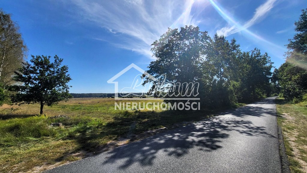 Działka rolna 4,05&nbsp;ha, Staw - zdjęcie 4