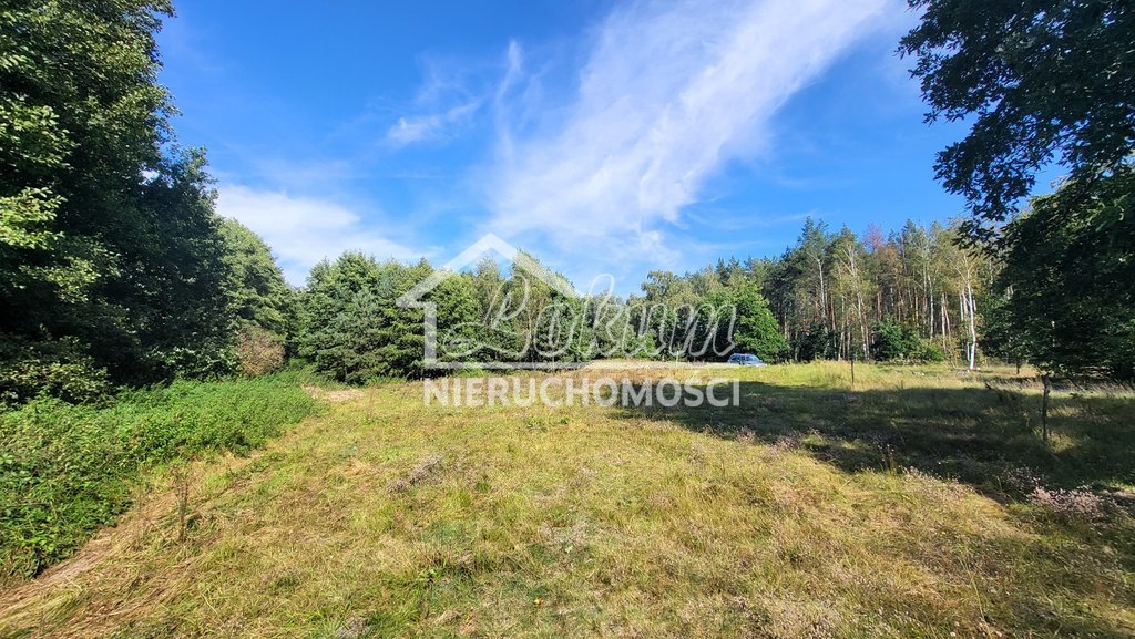 Działka rolna 4,05&nbsp;ha, Staw - zdjęcie 12