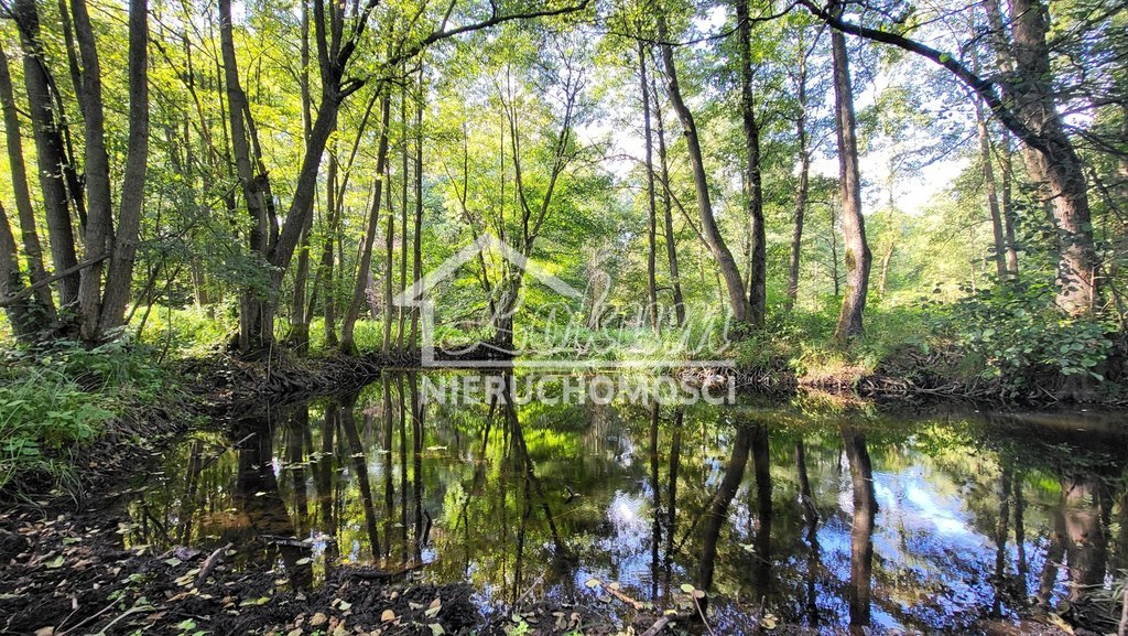 Działka rolna 4,05&nbsp;ha, Staw - zdjęcie 1