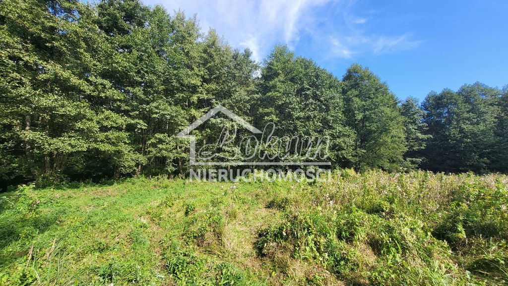 Działka rolna 4,05&nbsp;ha, Staw - zdjęcie 6