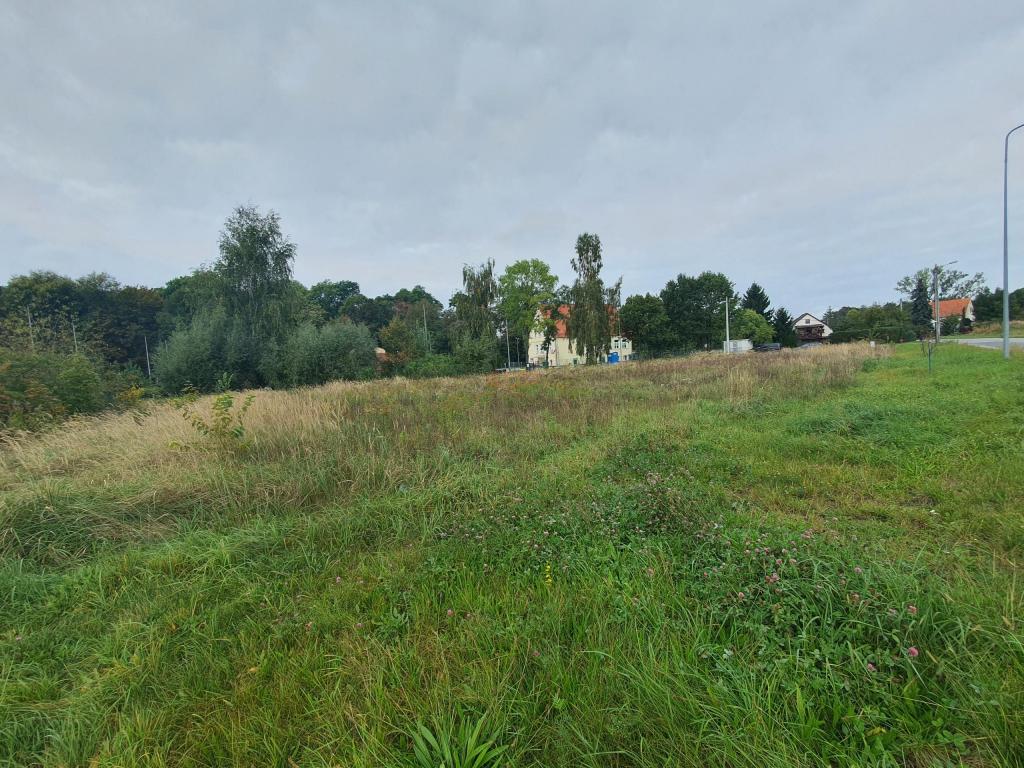 Działka budowlana 1518&nbsp;m², Krzyżowice, Główna - zdjęcie 2
