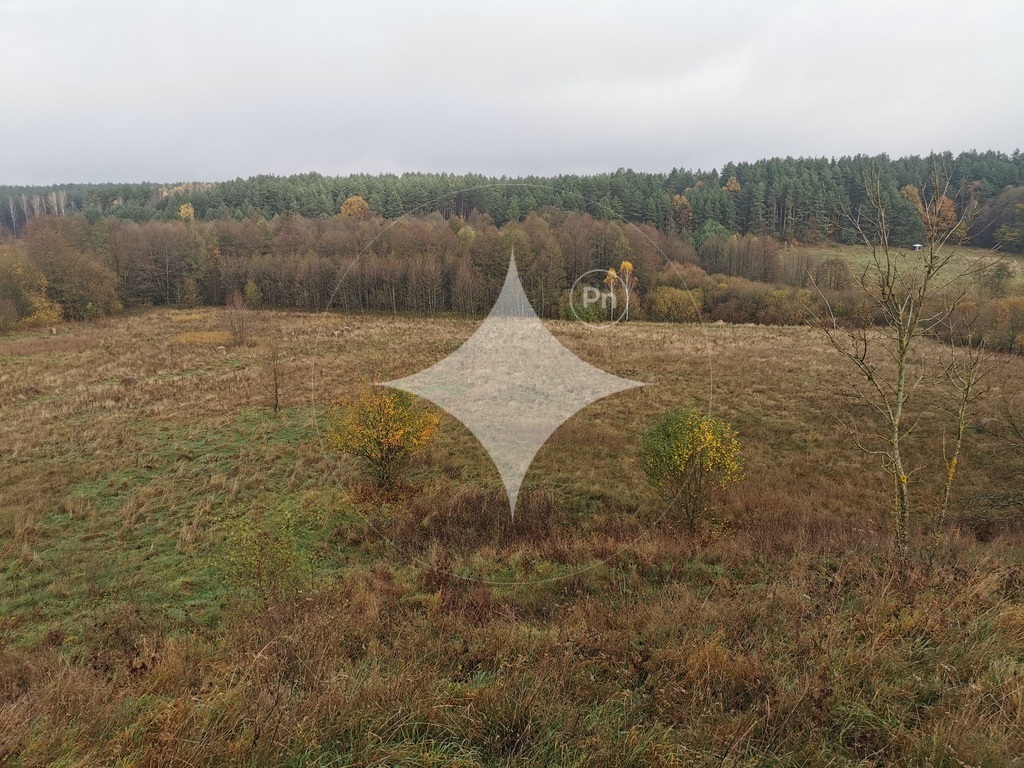 Działka rolna 840&nbsp;m², Studzianki, Polonijna - zdjęcie 2