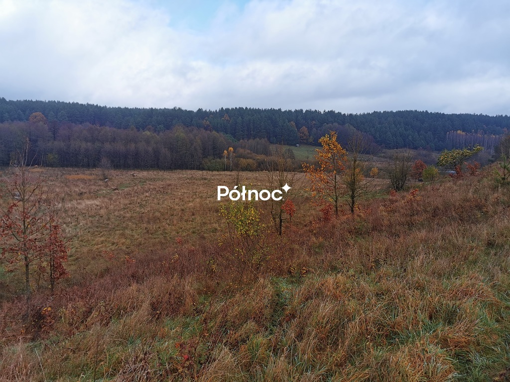 Działka rolna 840 m², Studzianki, Polonijna - zdjęcie 4