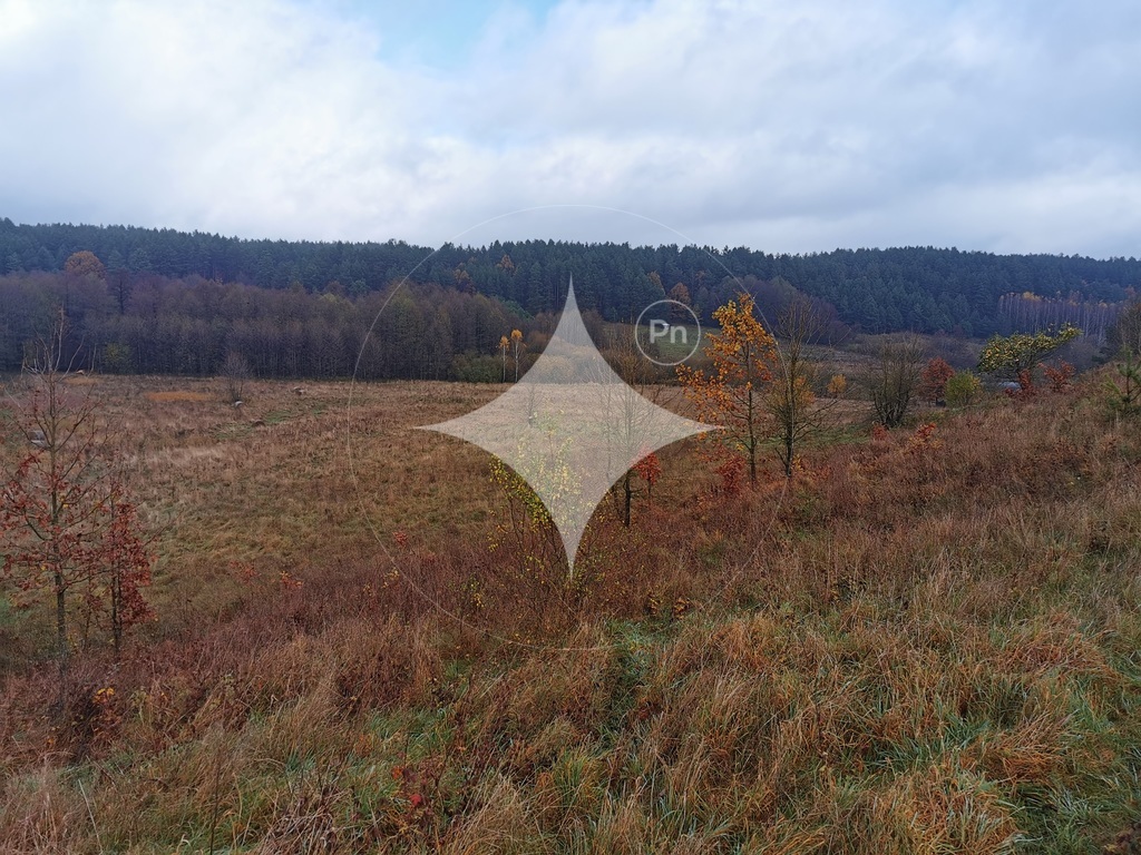 Działka rolna 840&nbsp;m², Studzianki, Polonijna - zdjęcie 4