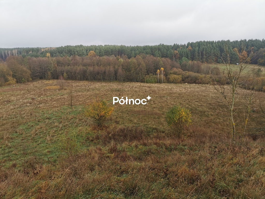 Działka rolna 840 m², Studzianki, Polonijna - zdjęcie 2