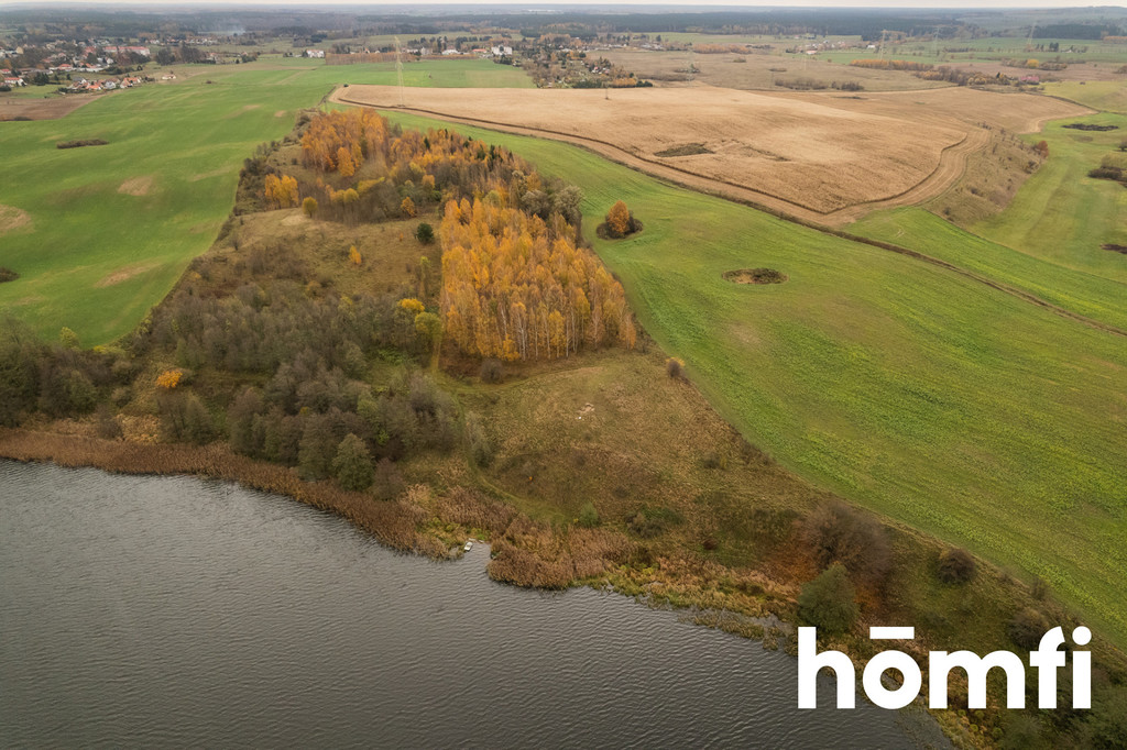 Działka rolna 7,70&nbsp;ha, Dźwierzuty - zdjęcie 1