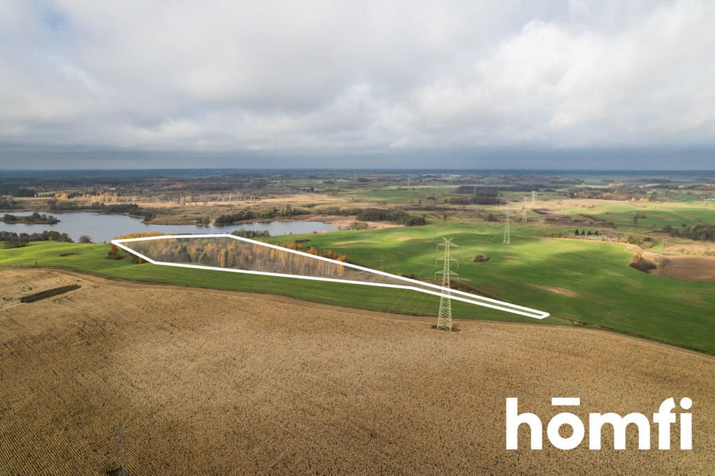 Działka rolna 7,70&nbsp;ha, Dźwierzuty - zdjęcie 7