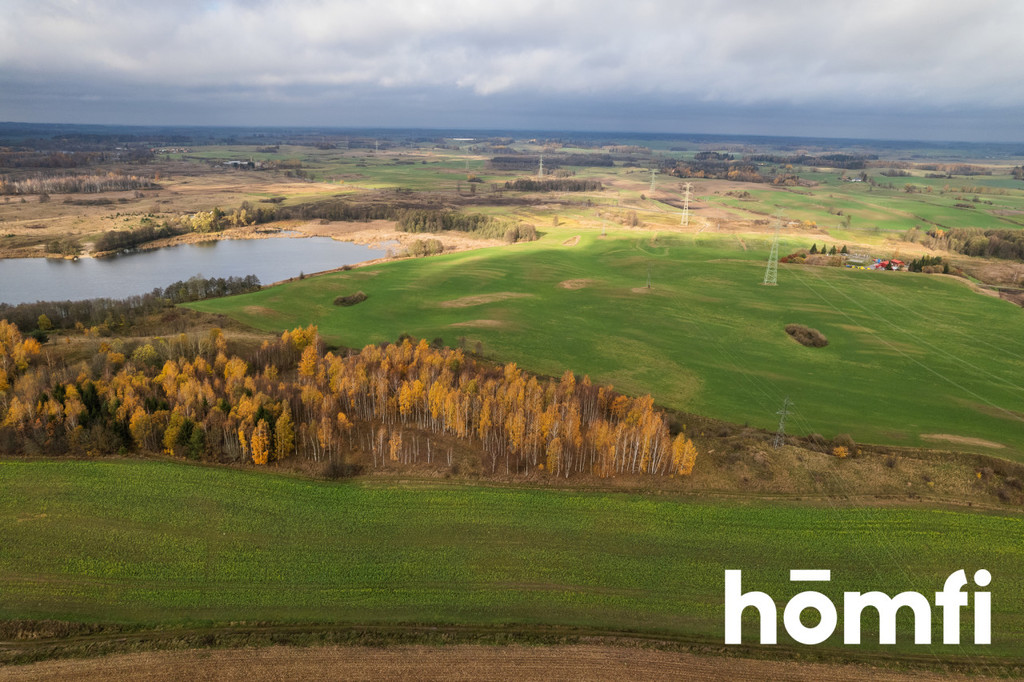 Działka rolna 7,70&nbsp;ha, Dźwierzuty - zdjęcie 9