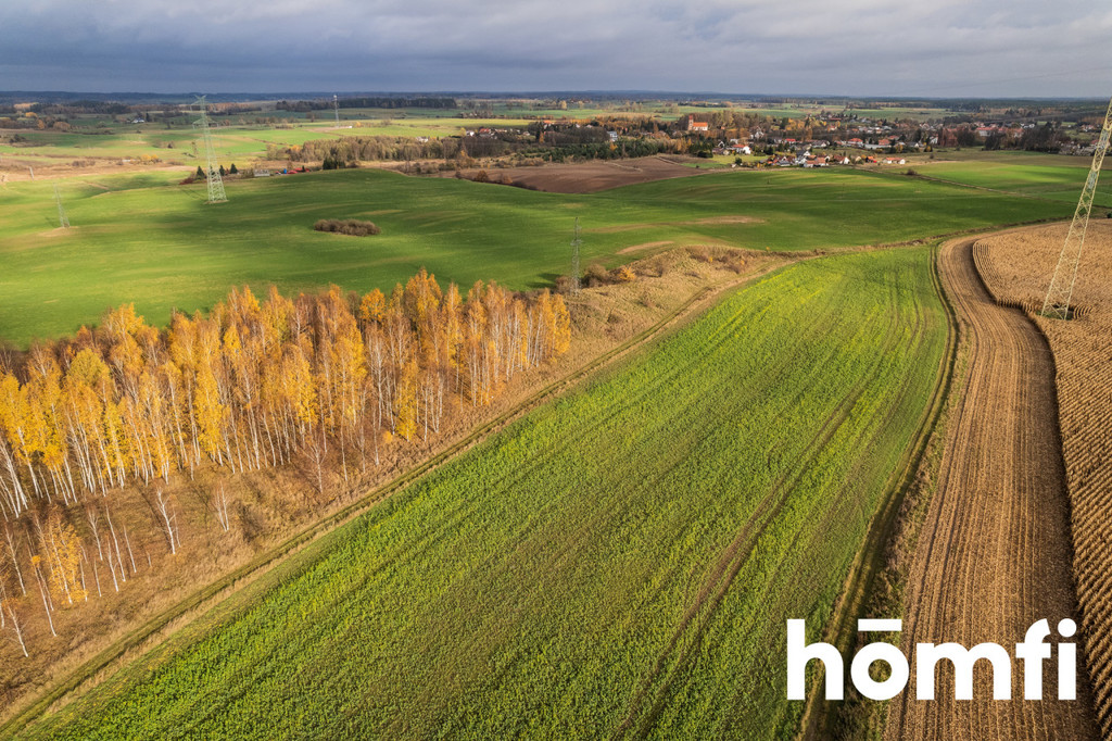 Działka rolna 7,70&nbsp;ha, Dźwierzuty - zdjęcie 18