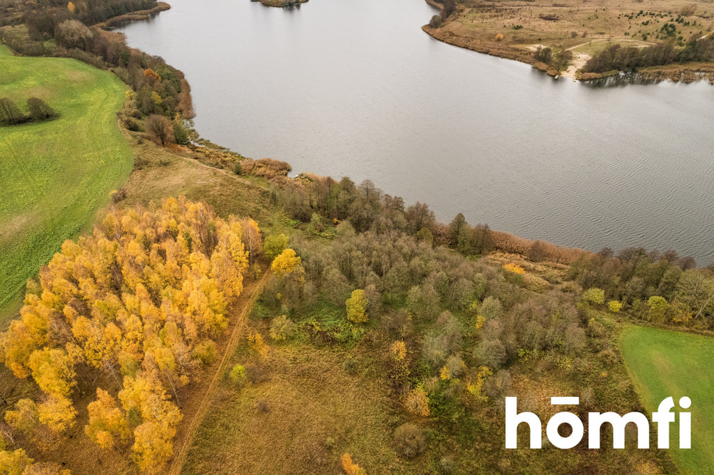 Działka rolna 7,70&nbsp;ha, Dźwierzuty - zdjęcie 3