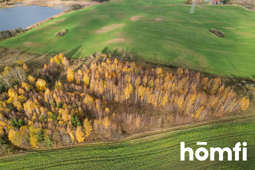 Działka rolna 7,70&nbsp;ha, Dźwierzuty - zdjęcie 16