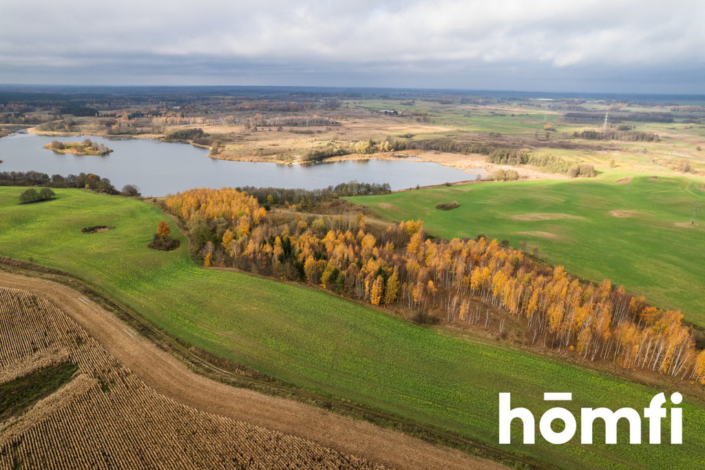 Działka rolna 7,70&nbsp;ha, Dźwierzuty - zdjęcie 8