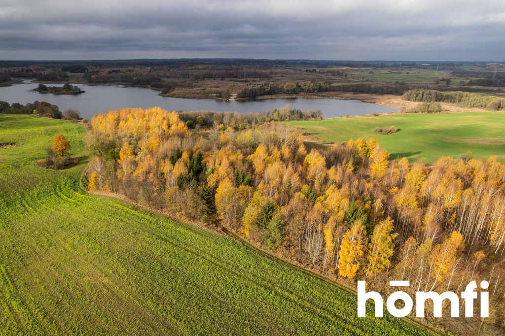 Działka rolna 7,70&nbsp;ha, Dźwierzuty - zdjęcie 19