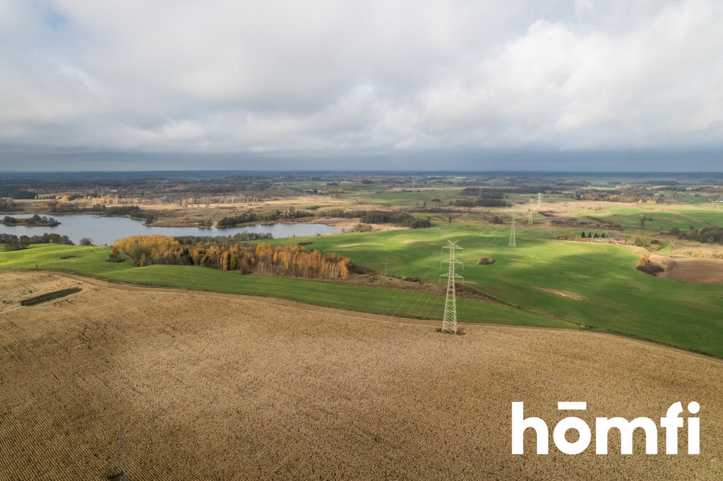 Działka rolna 7,70&nbsp;ha, Dźwierzuty - zdjęcie 4