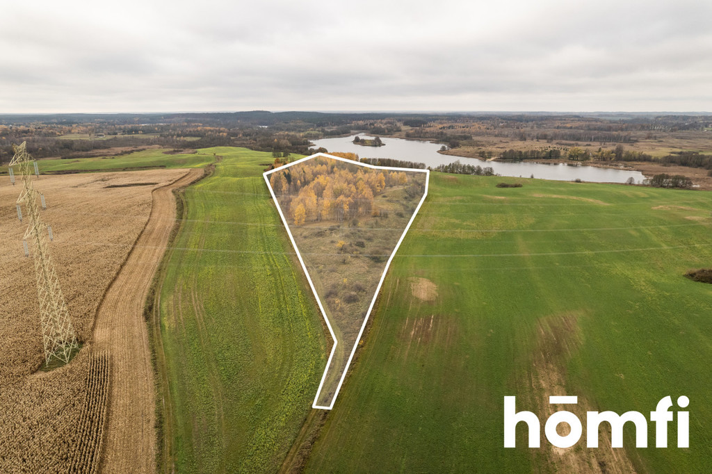 Działka rolna 7,70&nbsp;ha, Dźwierzuty - zdjęcie 5