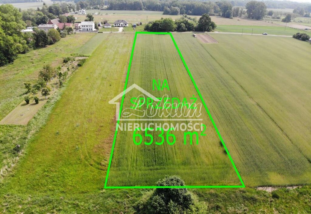 Działka budowlana 6536&nbsp;m², Rożnowo Nowogardzkie - zdjęcie 1
