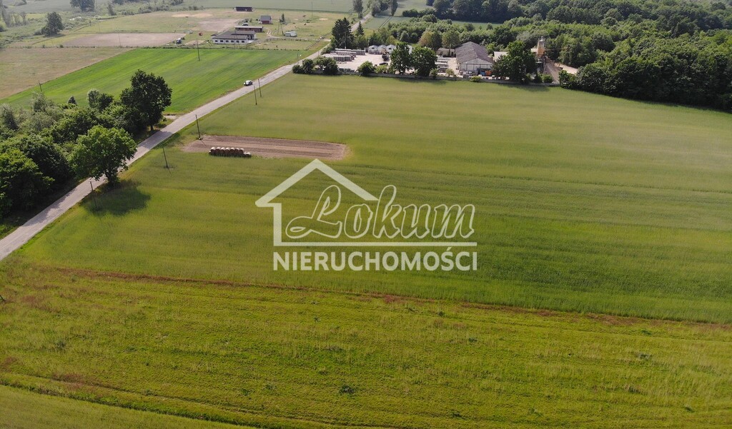 Działka budowlana 6536&nbsp;m², Rożnowo Nowogardzkie - zdjęcie 6