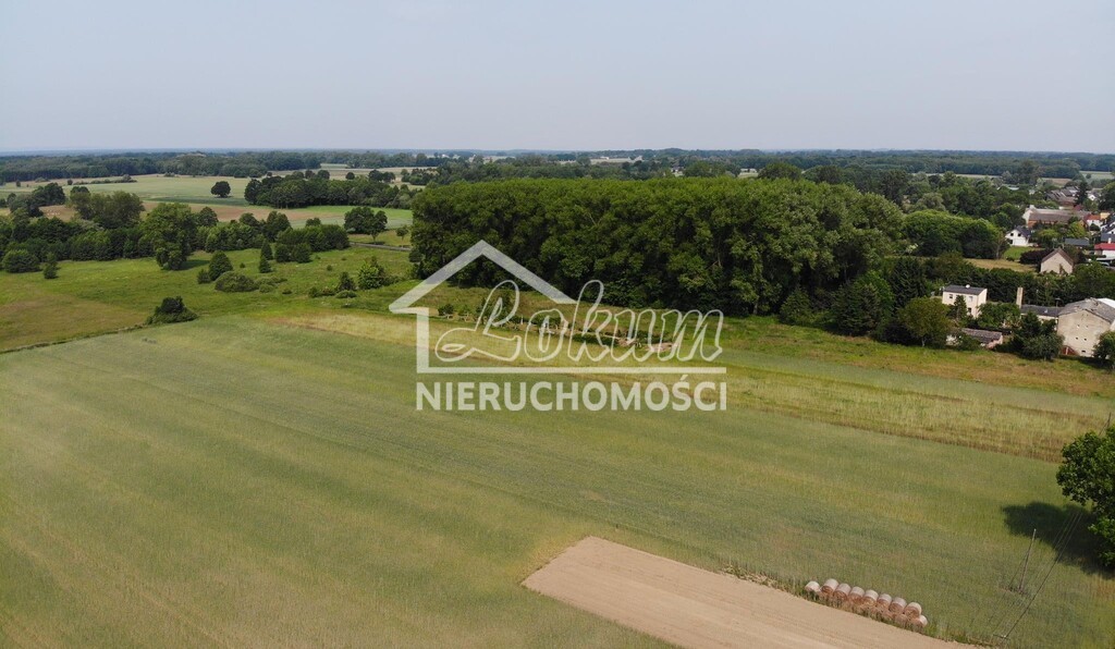 Działka budowlana 6536&nbsp;m², Rożnowo Nowogardzkie - zdjęcie 4