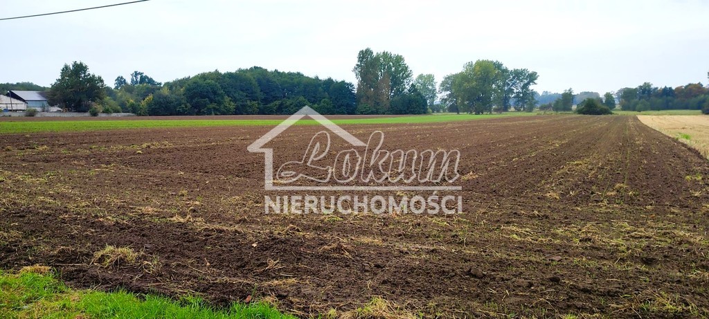 Działka budowlana 6536&nbsp;m², Rożnowo Nowogardzkie - zdjęcie 5