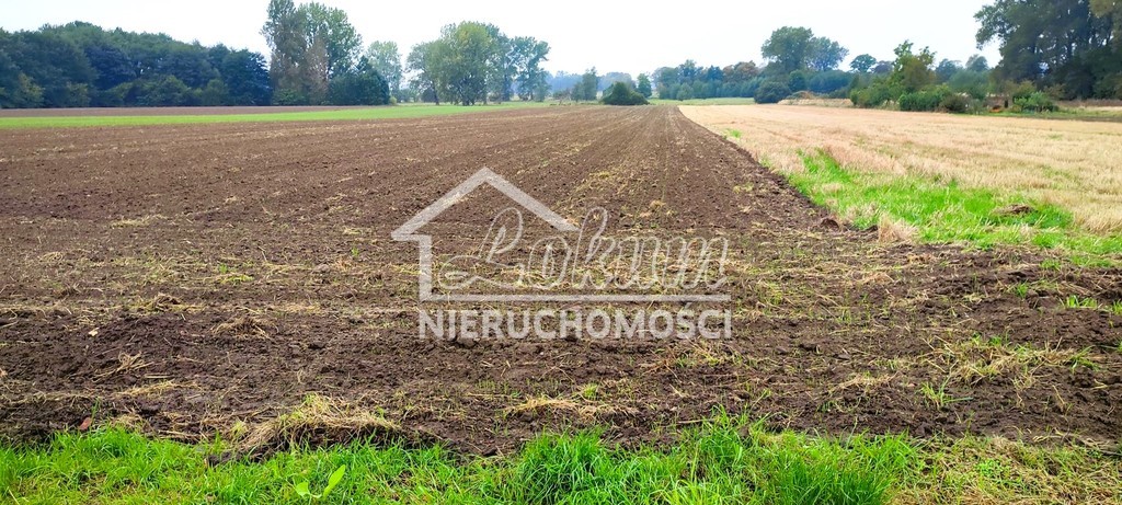 Działka budowlana 6536&nbsp;m², Rożnowo Nowogardzkie - zdjęcie 2