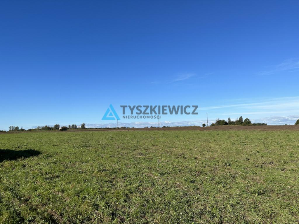 Pakiet 4 Działek w Darżynie 68 zł / m2 - zdjęcie 2