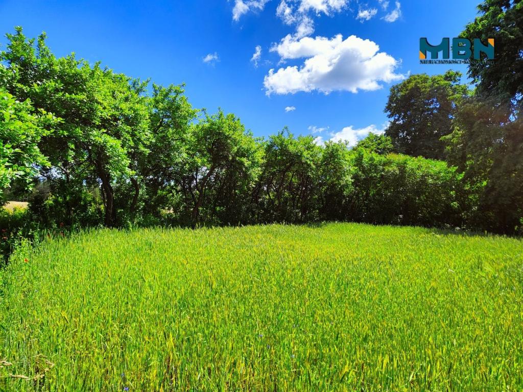 Działka budowlana 1680&nbsp;m², Dziubiele - zdjęcie 14