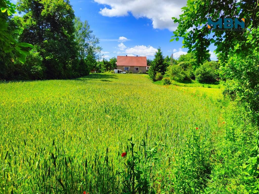 Działka budowlana 1680&nbsp;m², Dziubiele - zdjęcie 4
