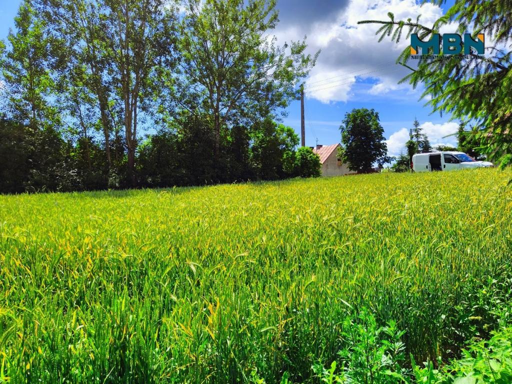 Działka budowlana 1680&nbsp;m², Dziubiele - zdjęcie 13