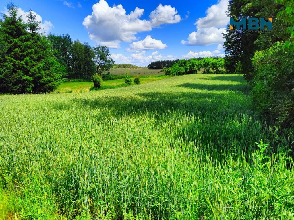 Działka budowlana 1680&nbsp;m², Dziubiele - zdjęcie 11