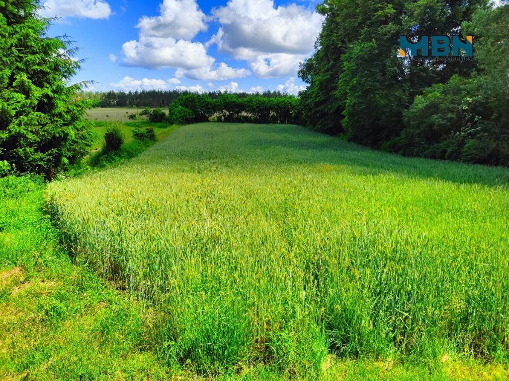 Działka budowlana 1680&nbsp;m², Dziubiele - zdjęcie 12