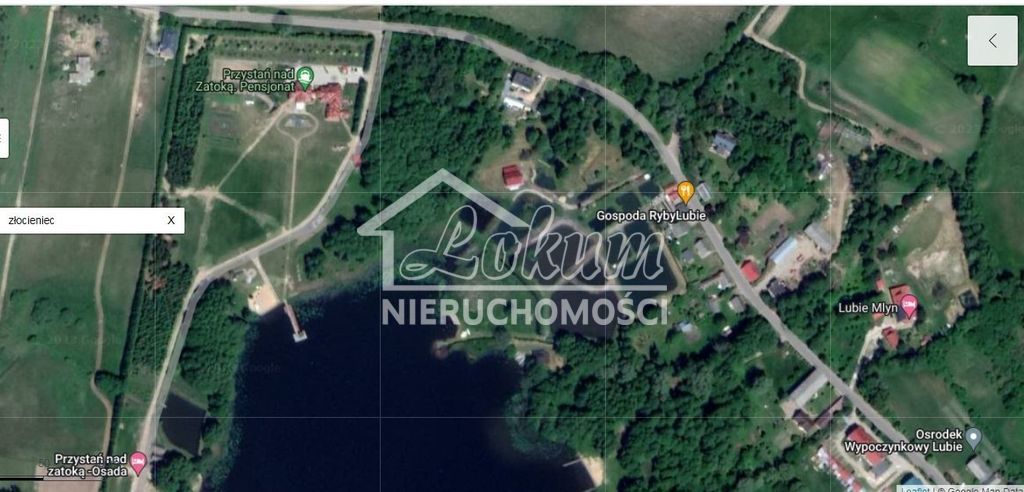 Działka rolna 4900 m², Lubieszewo - zdjęcie 2