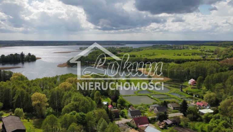 Działka rolna 4900 m², Lubieszewo - zdjęcie 1