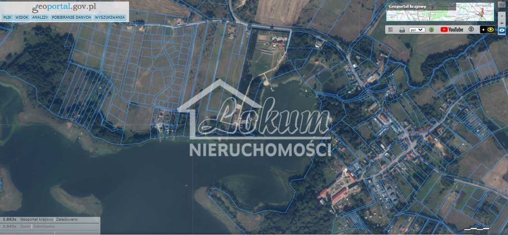 Działka rolna 4900&nbsp;m², Lubieszewo - zdjęcie 3