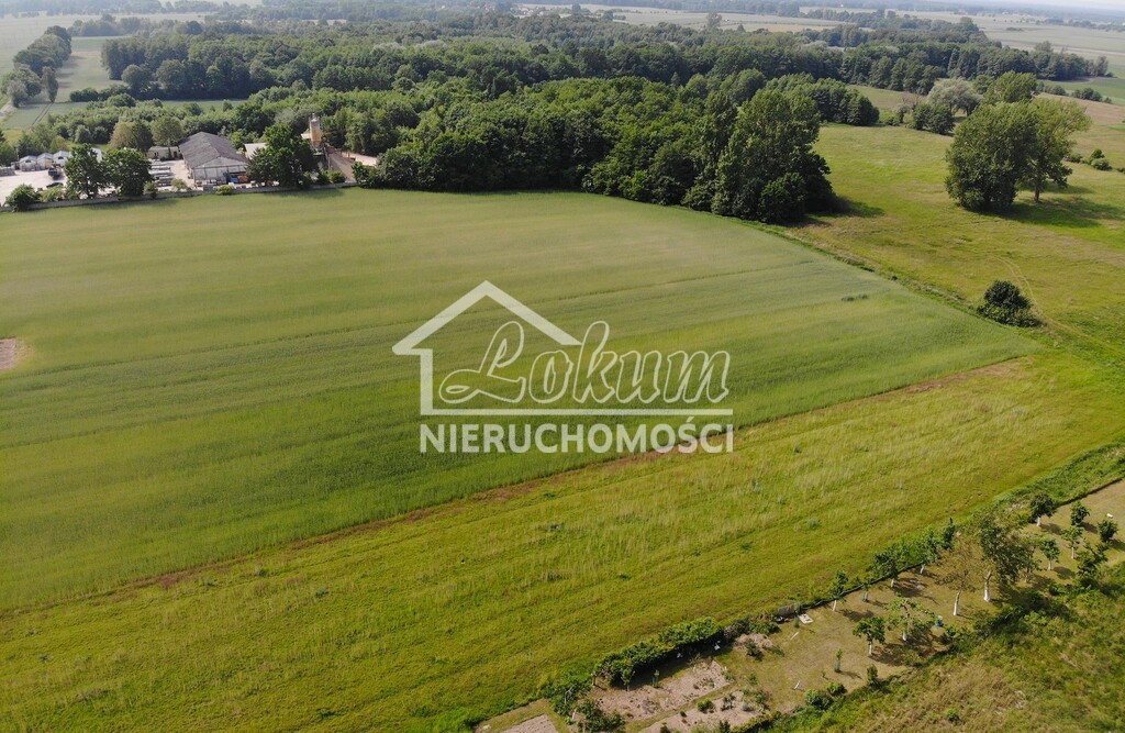 Działka budowlana 1725&nbsp;m², Rożnowo Nowogardzkie - zdjęcie 6