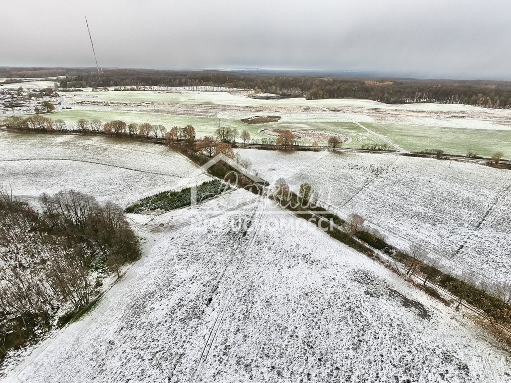 Działka rolna 7,62 ha, Kołowo - zdjęcie 6