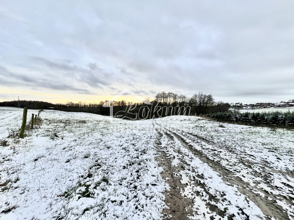 Działka rolna 7,62 ha, Kołowo - zdjęcie 5