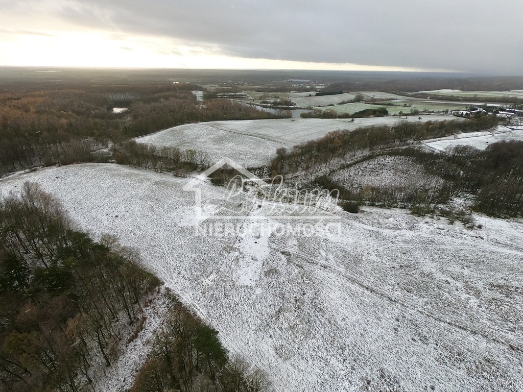 Działka rolna 7,62 ha, Kołowo - zdjęcie 7
