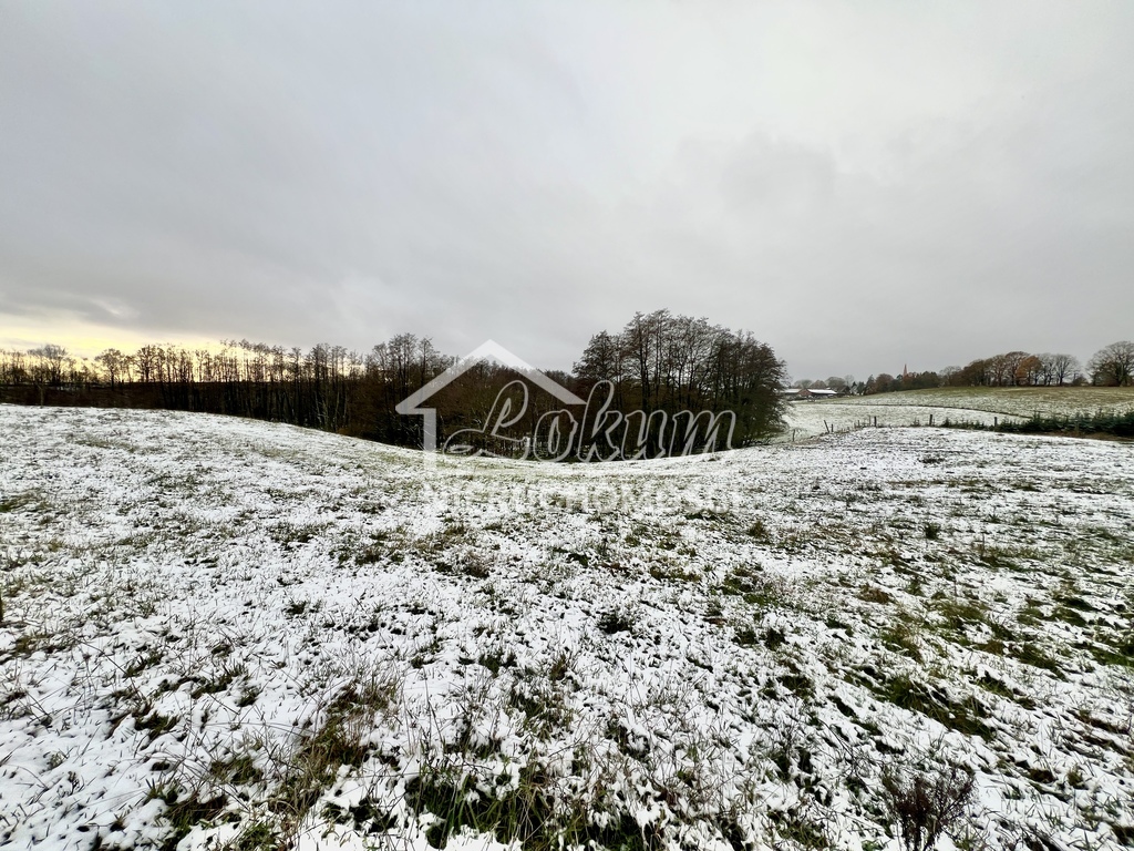 Działka rolna 7,62 ha, Kołowo - zdjęcie 4