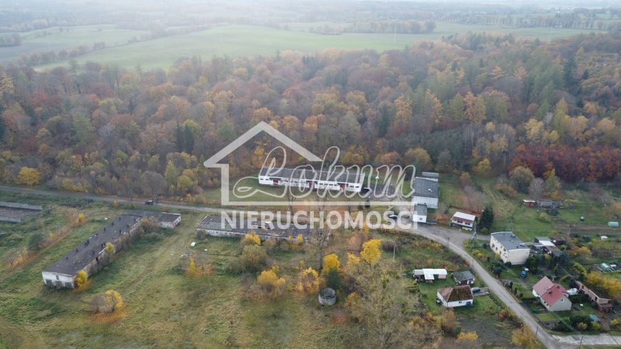 Magazyn na sprzedaż, 16300 m², Dziwogóra - zdjęcie 18