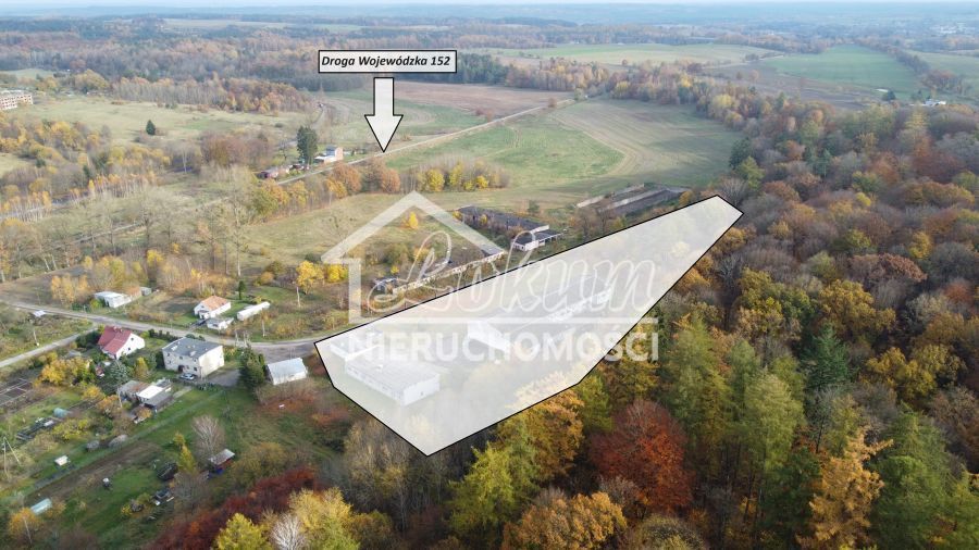 Magazyn na sprzedaż, 16300 m², Dziwogóra - zdjęcie 1