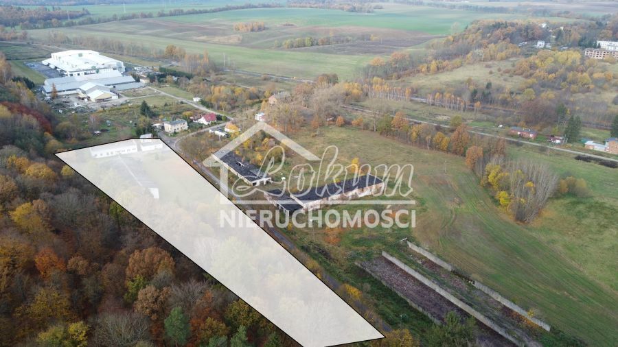 Magazyn na sprzedaż, 16300 m², Dziwogóra - zdjęcie 7