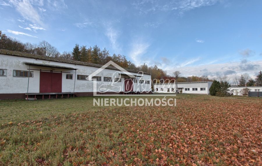 Magazyn na sprzedaż, 16300 m², Dziwogóra - zdjęcie 19