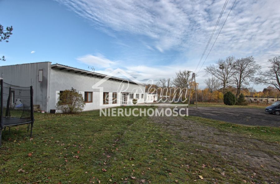 Magazyn na sprzedaż, 16300 m², Dziwogóra - zdjęcie 17
