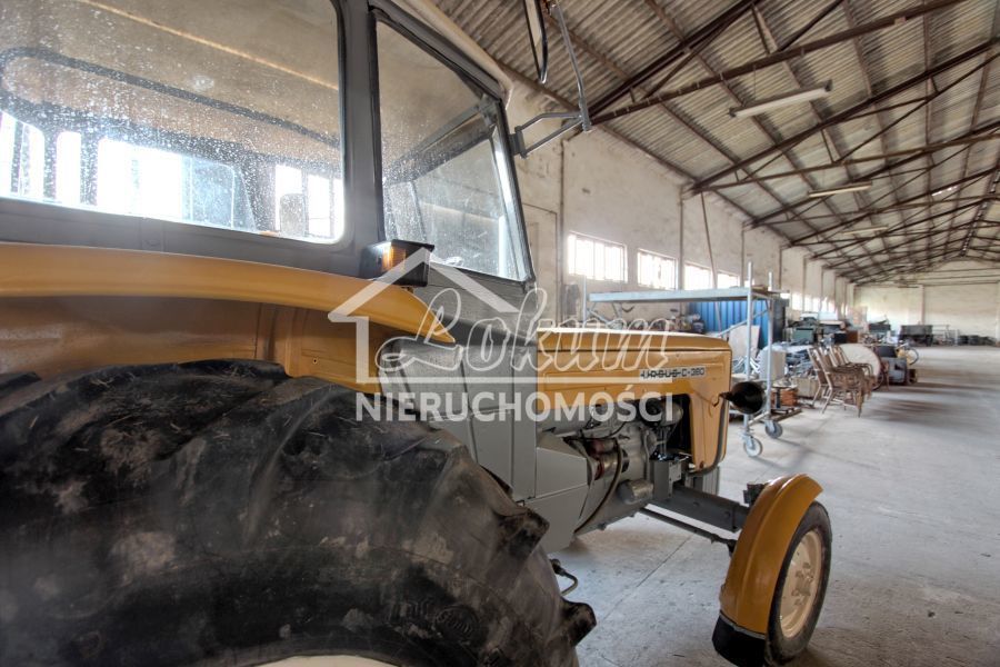 Magazyn na sprzedaż, 938&nbsp;m², Dziwogóra - zdjęcie 14
