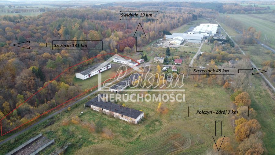 Magazyn na sprzedaż, 16300 m², Dziwogóra - zdjęcie 2