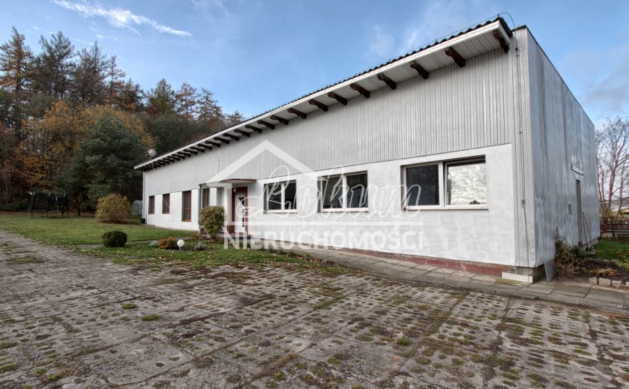 Magazyn na sprzedaż, 16300 m², Dziwogóra - zdjęcie 4
