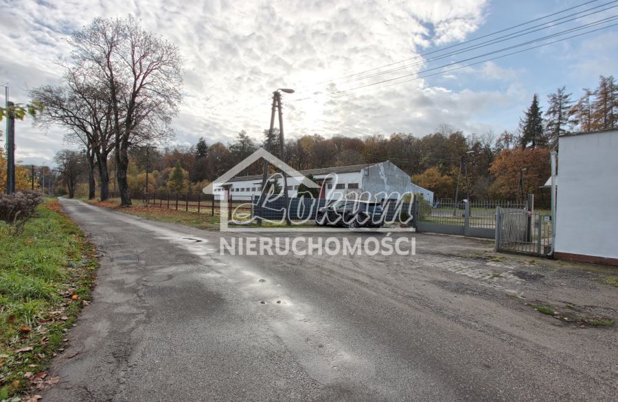 Magazyn na sprzedaż, 16300 m², Dziwogóra - zdjęcie 10